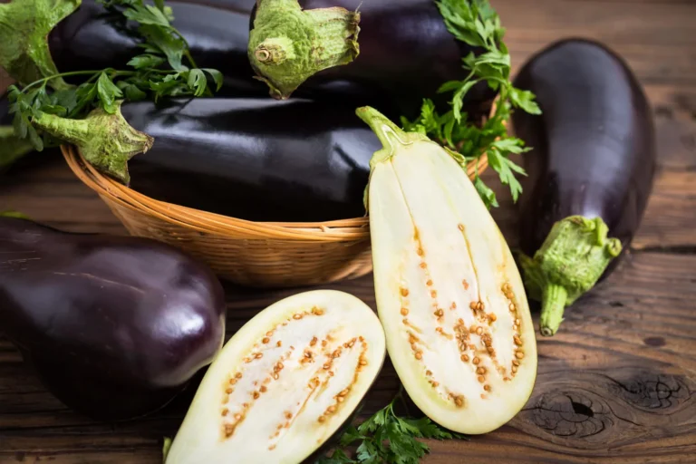 3 Levantine Recipe Ideas Using One Base Ingredient – Eggplant (Batinjan)