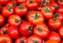 3 Easy & Traditional Levantine Tomato Recipes (Fresh, Saucy & Full of Flavor)