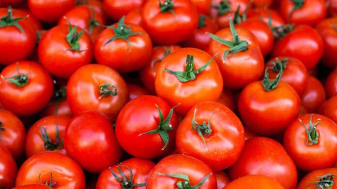 tomatoes-1296x728-feature