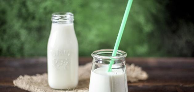 Homemade Shaneeneh (Shanina) – Traditional Levantine Yogurt Drink Video Tutorial